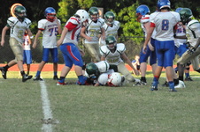 Enlarge photo 146
