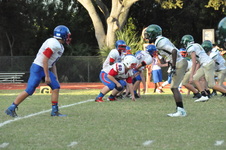 Enlarge photo 147