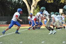 Enlarge photo 148
