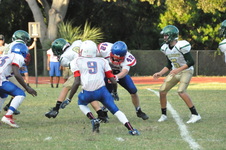 Enlarge photo 155