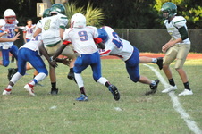 Enlarge photo 156