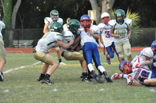 Enlarge photo 159