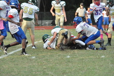 Enlarge photo 161
