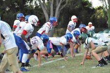 Enlarge photo 163