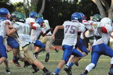 Enlarge photo 164