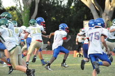 Enlarge photo 165