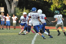 Enlarge photo 167