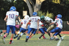 Enlarge photo 170