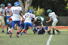 Enlarge photo 172