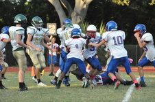 Enlarge photo 173