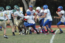 Enlarge photo 175