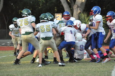Enlarge photo 176