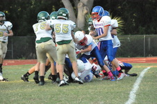 Enlarge photo 177