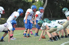Enlarge photo 181