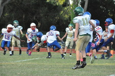 Enlarge photo 185