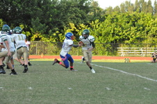 Enlarge photo 186