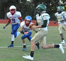 Enlarge photo 190