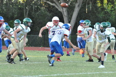 Enlarge photo 235