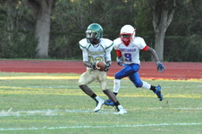 Enlarge photo 237