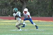 Enlarge photo 238