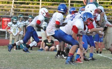 Enlarge photo 261