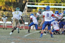 Enlarge photo 262
