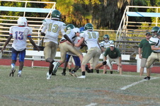 Enlarge photo 265