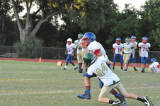 Enlarge photo 289