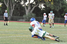 Enlarge photo 290
