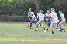 Enlarge photo 295