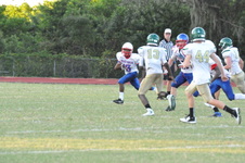 Enlarge photo 296