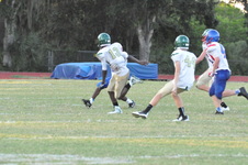 Enlarge photo 299