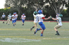 Enlarge photo 303