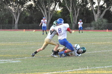 Enlarge photo 308