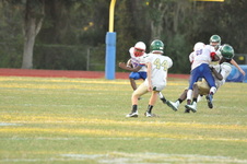Enlarge photo 312
