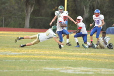 Enlarge photo 314