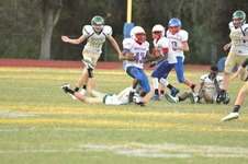 Enlarge photo 315