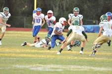 Enlarge photo 317