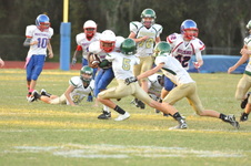 Enlarge photo 319