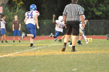 Enlarge photo 333
