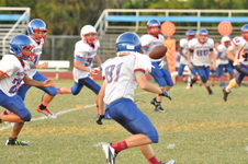 Enlarge photo 354