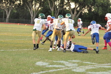 Enlarge photo 355