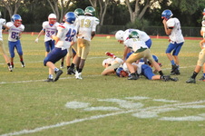Enlarge photo 359