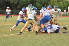 Enlarge photo 370