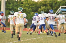 Enlarge photo 384