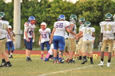 Enlarge photo 392