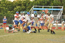 Enlarge photo 395