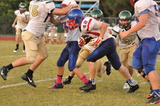 Enlarge photo 435