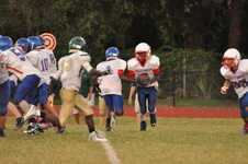 Enlarge photo 440