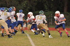 Enlarge photo 442